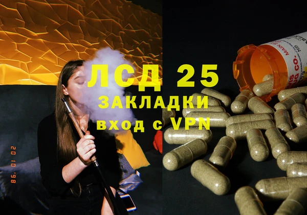 дмт Нея