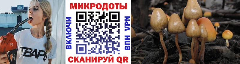 Галлюциногенные грибы Psilocybe Снежинск