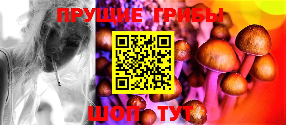Снежинск  Галлюциногенные грибы Psilocybine cubensis  Вход с VPN 
