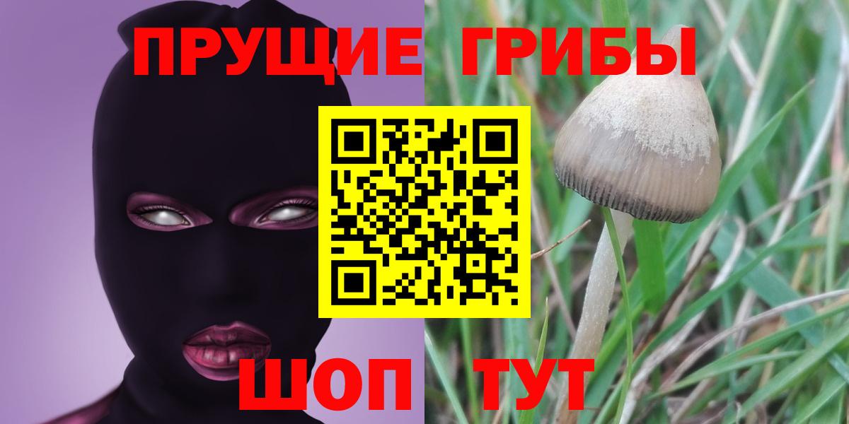 Галлюциногенные грибы MAGIC MUSHROOMS Снежинск